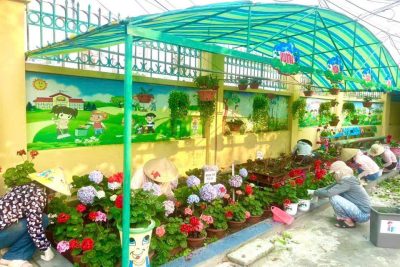 NGÀY CHỦ NHẬT XANH☘️🍀🌿🌱🪴